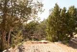22310 Cedar Dr - Photo 14