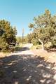 22310 Cedar Dr - Photo 4