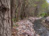 1544 1200 - Photo 14