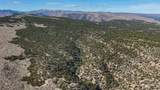 1 Elk Meadows - Photo 11