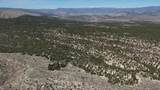 1 Elk Meadows - Photo 12