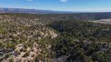 1 Elk Meadows - Photo 16
