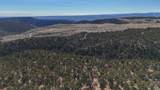 1 Elk Meadows - Photo 17