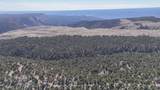 1 Elk Meadows - Photo 5