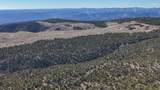 1 Elk Meadows - Photo 6