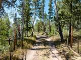 5559 Forest Dr - Photo 8