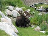 12090 Big Cottonwood Rd - Photo 22