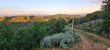 12602 Skyline Rd - Photo 1