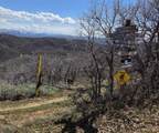 12602 Skyline Rd - Photo 11