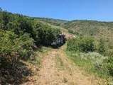 12602 Skyline Rd - Photo 41