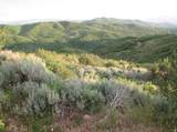 12602 Skyline Rd - Photo 42