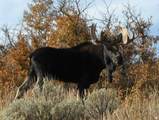 12602 Skyline Rd - Photo 43