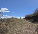 12602 Skyline Rd - Photo 6