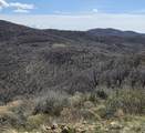 12602 Skyline Rd - Photo 7