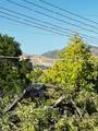 207 600 - Photo 31