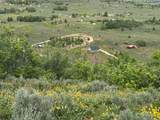 12416 High Pine Ave - Photo 3