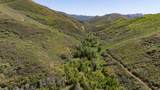 5155 Canyon Rd - Photo 2