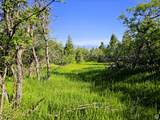 2 Whispering Pines Rd - Photo 3