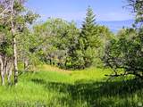 2 Whispering Pines Rd - Photo 10