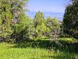 3 Whispering Pines Rd - Photo 6