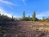 13 Pine Crest Dr - Photo 6