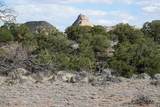 1115 Donkey Flats Rd - Photo 12