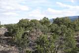 1115 Donkey Flats Rd - Photo 13