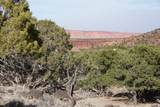 1115 Donkey Flats Rd - Photo 4