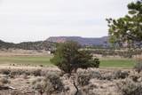 1115 Donkey Flats Rd - Photo 5