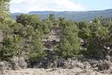 1115 Donkey Flats Rd - Photo 8