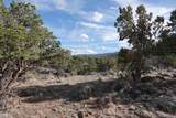 1115 Donkey Flats Rd - Photo 9