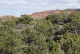1115 Donkey Flats Rd - Photo 10