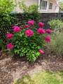1364 600 - Photo 16