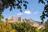 2250 Murray Holladay Rd - Photo 46