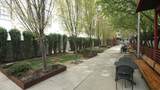 159 300 - Photo 36