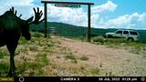 28 Moose Horn Rd, - Photo 15