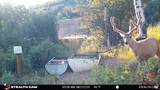 28 Moose Horn Rd, - Photo 20