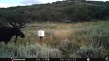 28 Moose Horn Rd, - Photo 22
