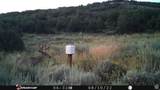28 Moose Horn Rd, - Photo 23
