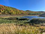 28 Moose Horn Rd, - Photo 33