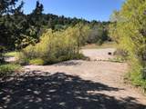 149 Meadow Rd - Photo 5