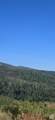 4000 Ant Flat Rd - Photo 11