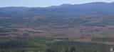 4000 Ant Flat Rd - Photo 5