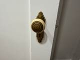 313 9TH St - Photo 23
