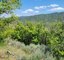12737 High Pine Cir - Photo 2