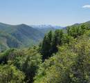12737 High Pine Cir - Photo 4