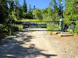 12 Pine Ridge Estates Dr - Photo 8