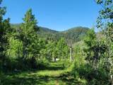 11607 Middle Fork Dr - Photo 2