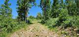 11607 Middle Fork Dr - Photo 15
