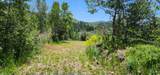 11607 Middle Fork Dr - Photo 17